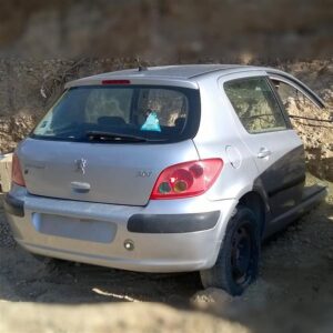 PE300005242 Peugeot 307 2001-2005 | Πόρτα Πίσω Δεξιά