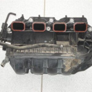 VWGO0300370 VW Golf 2004-2008 | Πολλαπλή Εισαγωγής